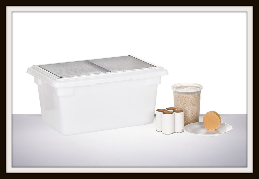 Cricket keeper Armstrong Crickets